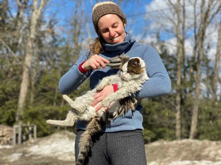 Katie and Kramer on the Bison Farm