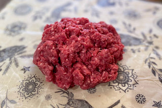 Ground Bison