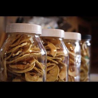 Dehydrating Apples