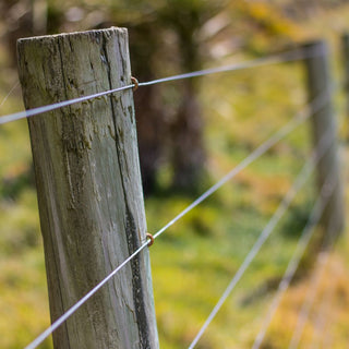 Spring Cleaning for the Farm & Homestead