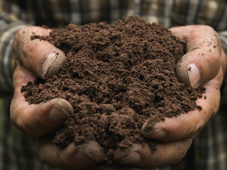 How Much Compost Do I Need?