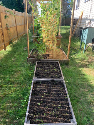 Tis The Season For Compost!