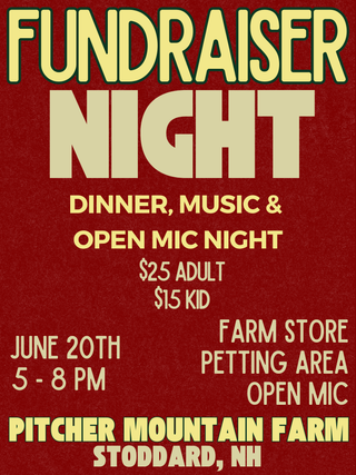 Holistic Roots Fundraiser Dinner Ticket - Adult