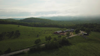 Yankee Farmer's Market Buffalo Farm