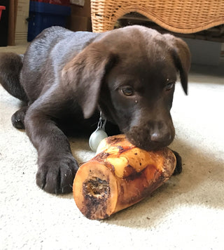 Smoked Buffalo Bones are great treats for your pet.