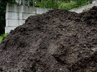 buffalo compost pile